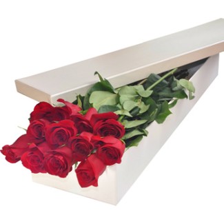 Box 12 red roses